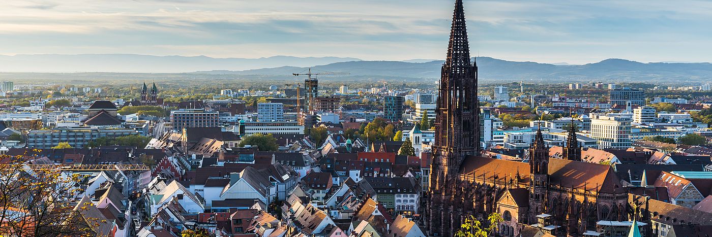 View from Freiburg im Breisgau